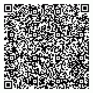 vCard 79397124732