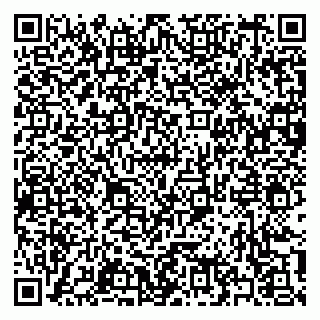 vCard 79397124933