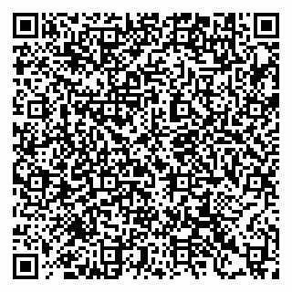 vCard 79397125203