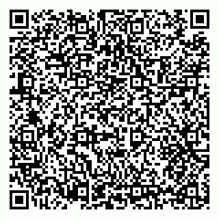 vCard 79397125235