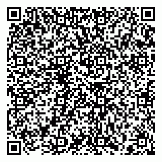 vCard 79397125293