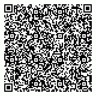 vCard 79397125300