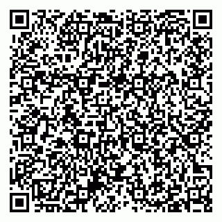 vCard 79397125301