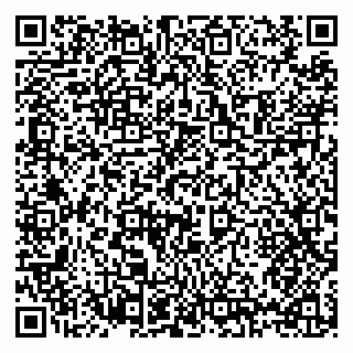 vCard 79397125313