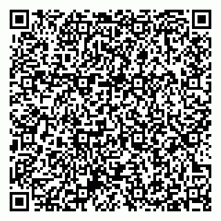 vCard 79397125319