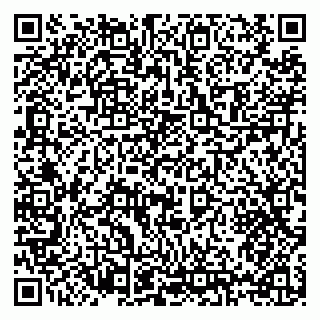 vCard 79397125329