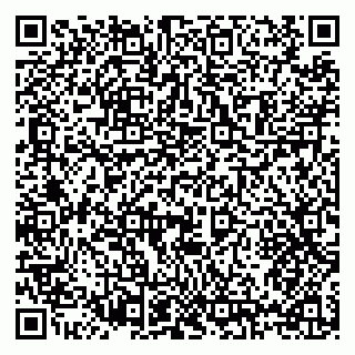 vCard 79397125330