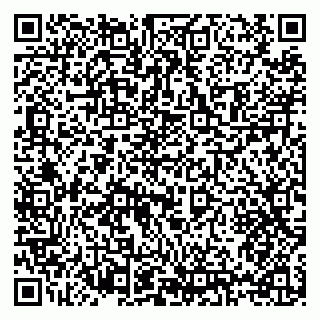 vCard 79397125331