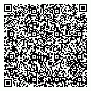 vCard 79397125334