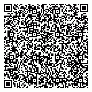 vCard 79397125335