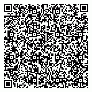 vCard 79397125381