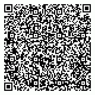 vCard 79397125384