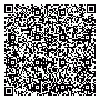vCard 79397125399