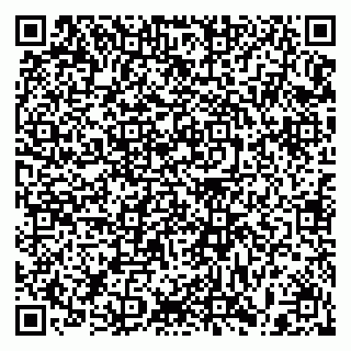 vCard 79397125409