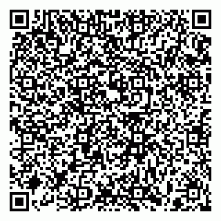 vCard 79397125493