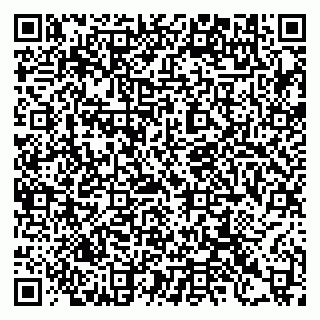 vCard 79397125815