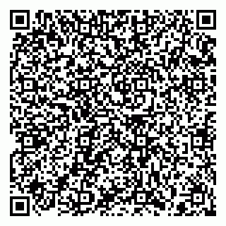 vCard 79397125863