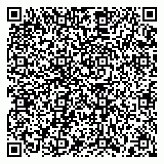 vCard 79397125871