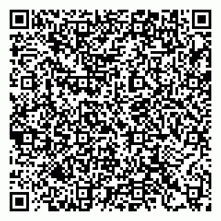 vCard 79397125873