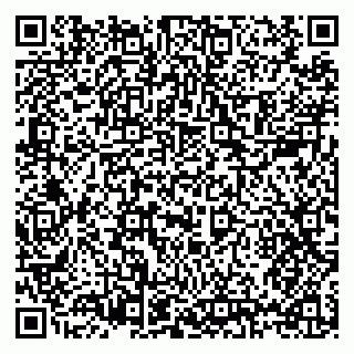 vCard 79397125881
