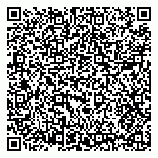 vCard 79397125883