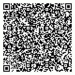vCard 79397125893