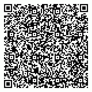 vCard 79397125983