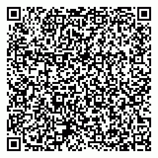 vCard 79397126903