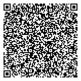 vCard 79397127304