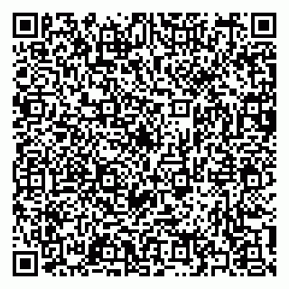 vCard 79397127335