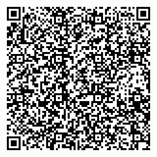 vCard 79397127389