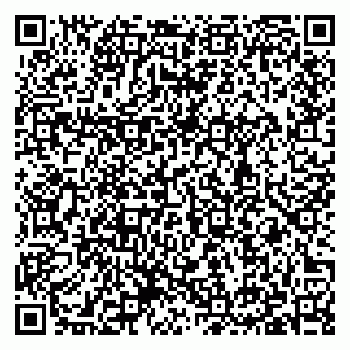 vCard 79397128153