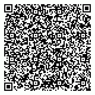 vCard 79397129003
