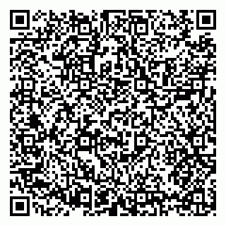 vCard 79397129087