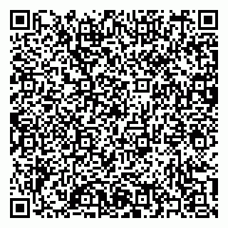 vCard 79397129131