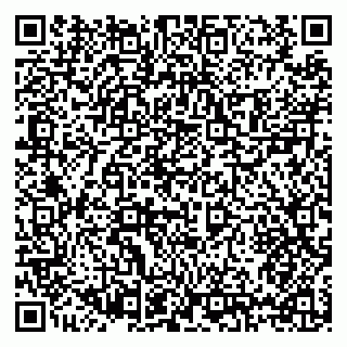 vCard 79397129233