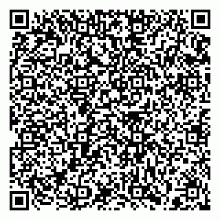 vCard 79397129312
