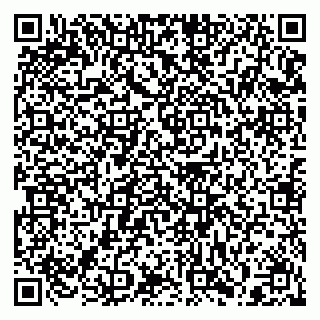 vCard 79397129313