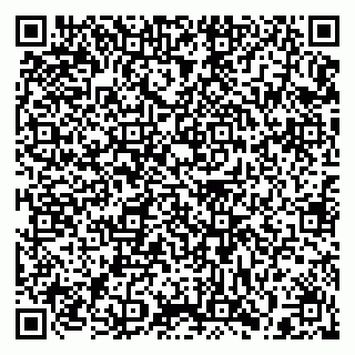 vCard 79397129314
