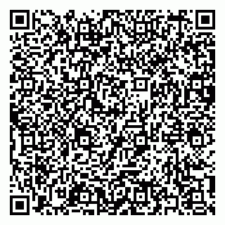 vCard 79397129331