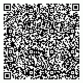 vCard 79397129370