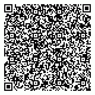 vCard 79397129381