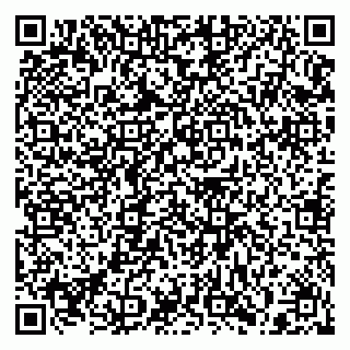 vCard 79397129389