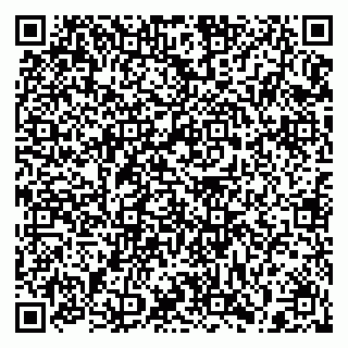vCard 79397129533