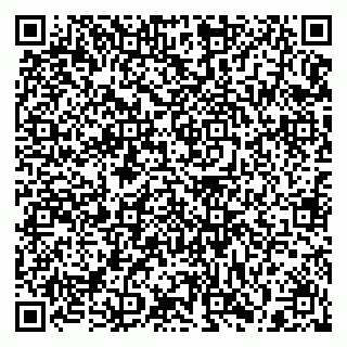 vCard 79397129874