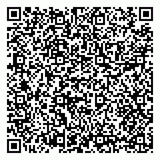 vCard 79397129933