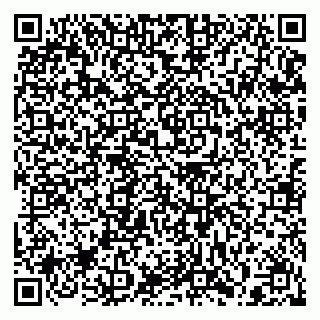 vCard 79397130087