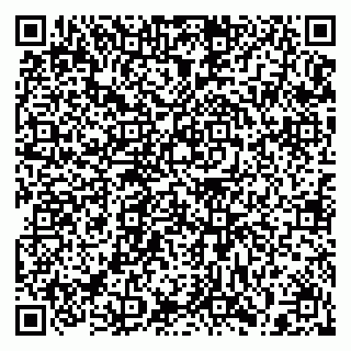 vCard 79397130095