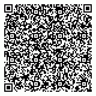vCard 79397130132