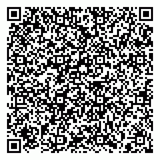 vCard 79397130133